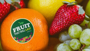 FTWL concept Concept art for 'Fruit That Will Last'