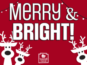 SFCA CHRISTMAS 18×24 yard sign 5