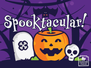 SFCA HALLOWEEN 18×24 yard sign 1
