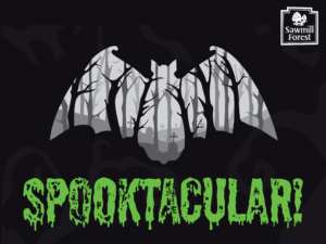 SFCA HALLOWEEN 18×24 yard sign 2