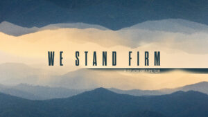 WSF 2 'We Stand Firm' concept art