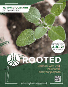 rooted poster